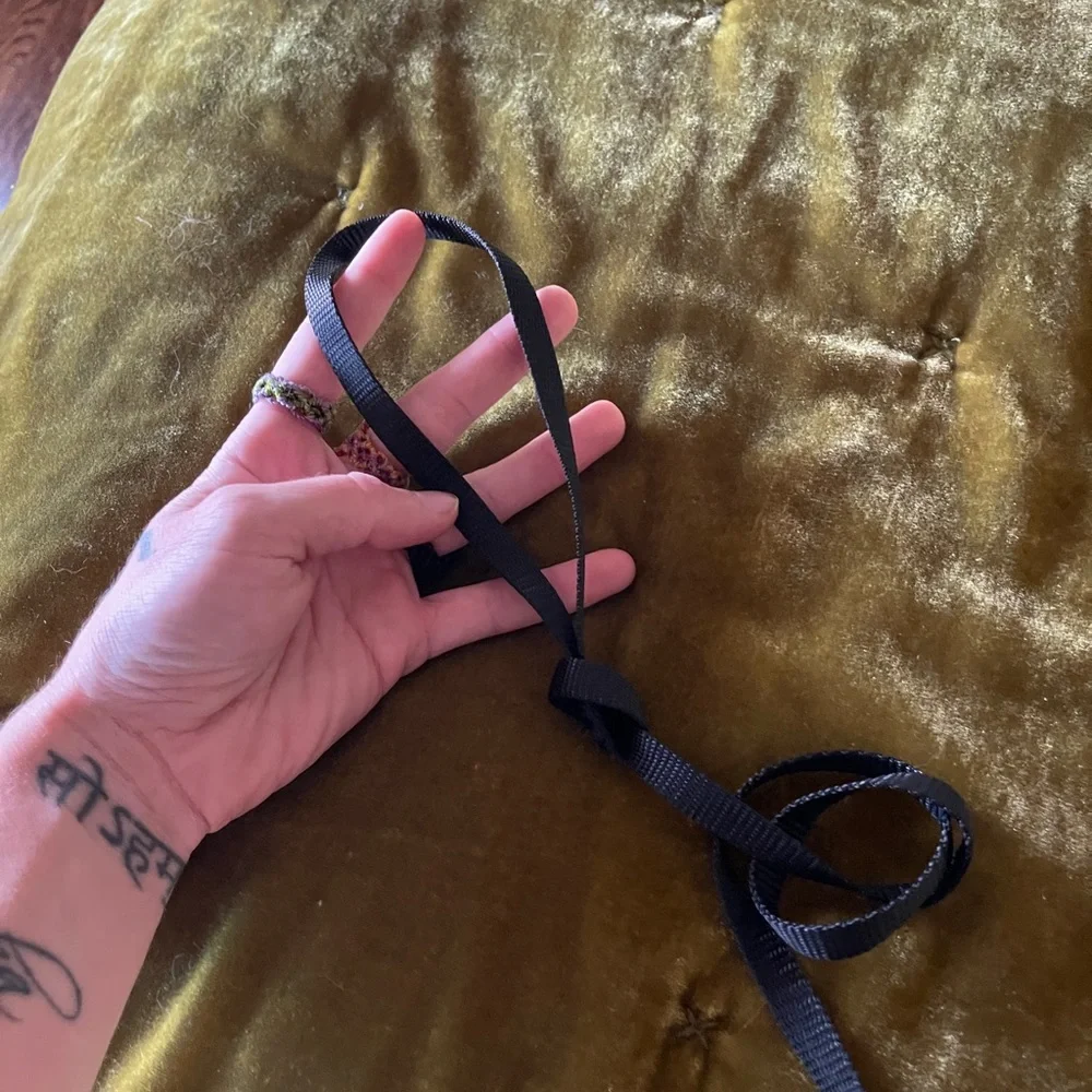 Simple Black Cat Leash New